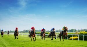 gouve turf|IVANATURF.